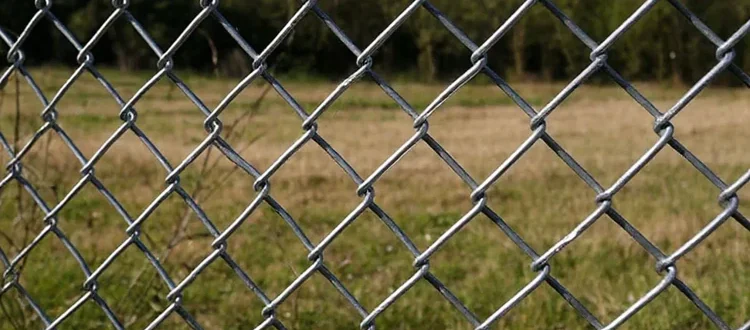 Сетка рабица