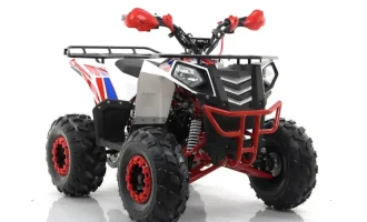 Подростковый бензиновый квадроцикл motax grizlik a125
